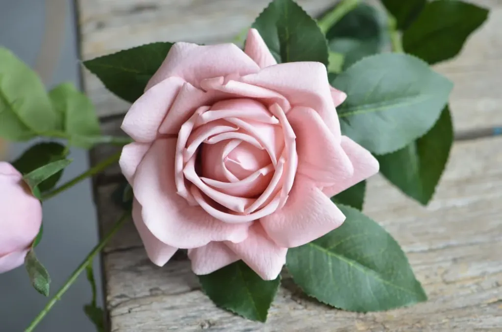 Pink Rose flowers for couple & gift